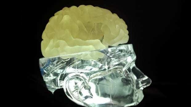 Crânio Humano de Vidro com cérebro impresso em 3D posicionado no lugar da tampa da cabeça. Confira nosso artigo!