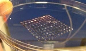 Células humanas impressas em impressora 3D dentro de recipiente.