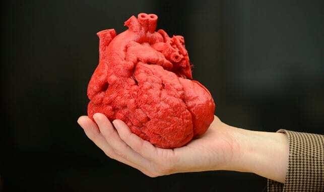 Mão Humana segurando coração impresso através de tecnoligia de impressão 3D. Coração humano na cor vermelha.
